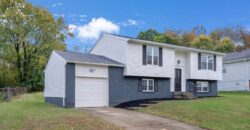 Flip – 8814 Old Iron Sides 40228