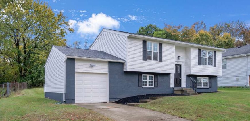 Flip – 8814 Old Iron Sides 40228