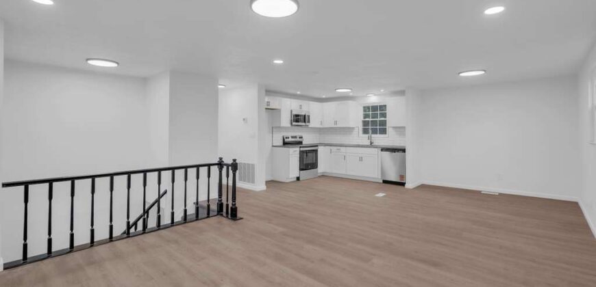 Flip – 8814 Old Iron Sides 40228