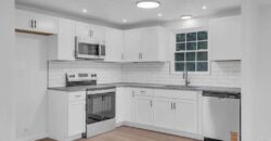 Flip – 8814 Old Iron Sides 40228