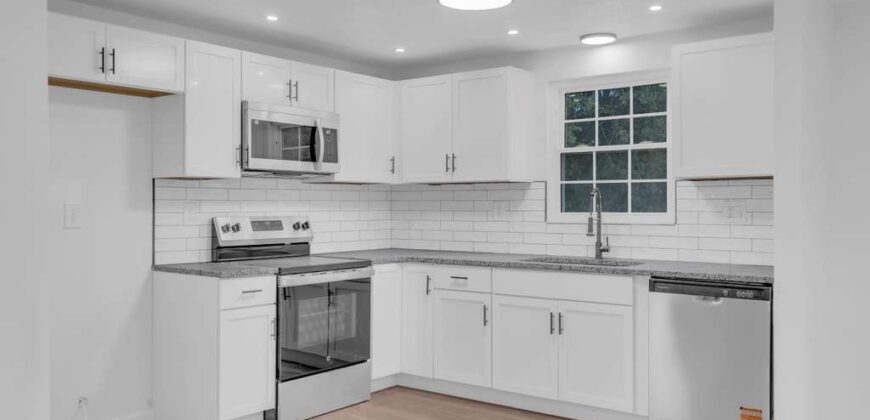 Flip – 8814 Old Iron Sides 40228