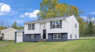 Flip – 8814 Old Iron Sides 40228